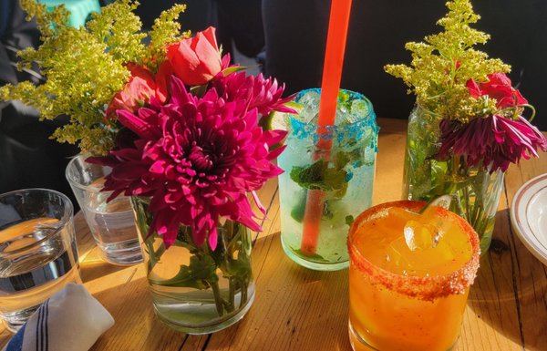 Sea Wolf Brooklyn by null