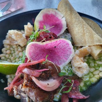 Coasterra - carnitas. Beautiful presentation just under seasoned. - Mexican Near Me - San Diego, California Coasterra - carnitas. Beautiful presentation just under seasoned. - Mexican Near Me - San Diego, California