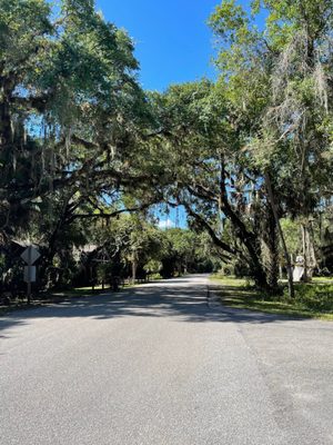 Myakka River State Park by null
