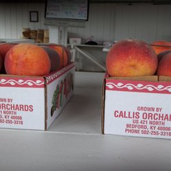 Callis Orchards