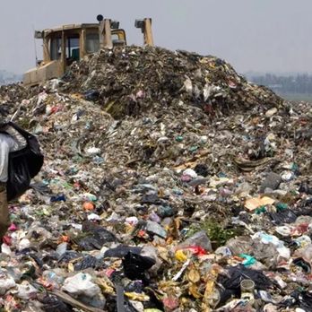 The Standard Clean Outs - Hauling to the dump - Junk Removal & Hauling Near Me The Standard Clean Outs - Hauling to the dump - Junk Removal & Hauling Near Me