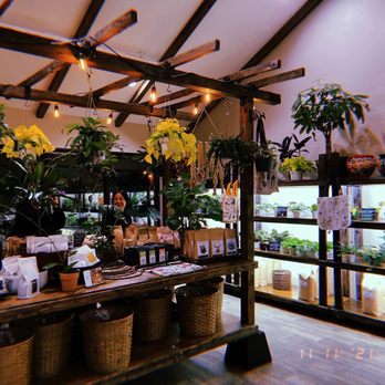 Mundial Coffee - Plants - Coffee & Tea Near Me - Riverside, California Mundial Coffee - Plants - Coffee & Tea Near Me - Riverside, California