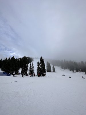 Mt. Shasta Ski Park by null