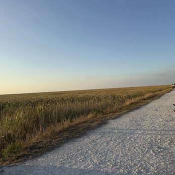 Sawgrass Trailhead at Atlantic Boulevard - Hiking Near Me Sawgrass Trailhead at Atlantic Boulevard - Hiking Near Me