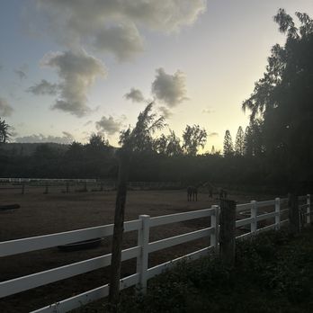 Turtle Bay Horseback Riding - Horseback Riding Near Me - Kahuku, Hawaii Turtle Bay Horseback Riding - Horseback Riding Near Me - Kahuku, Hawaii