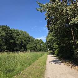 Lise-Meitner-Park