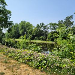 Lansing River Trail