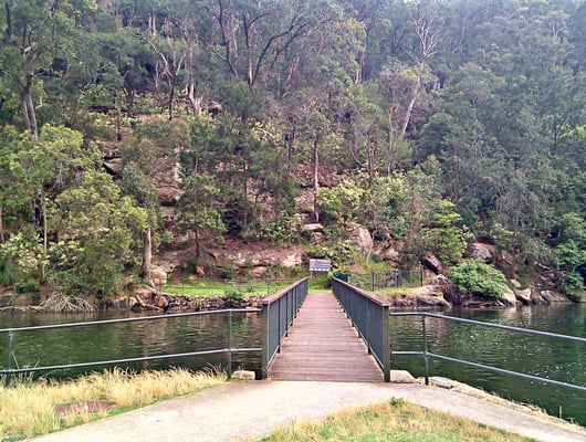 Ku-ring-gai Chase National Park by null