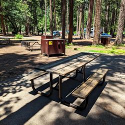 Upper Pines Campground at Yosemite National Park - #81
