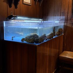 Nero's Grille - Lobster Monday