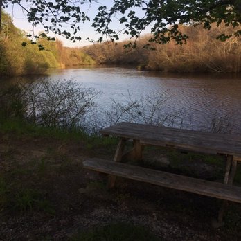 Maple Tree BBQ - Picnic table on the Peconic River - awesome place to eat BBQ when it's warm out - Barbeque Near Me - Riverhead, New York Maple Tree BBQ - Picnic table on the Peconic River - awesome place to eat BBQ when it's warm out - Barbeque Near Me - Riverhead, New York
