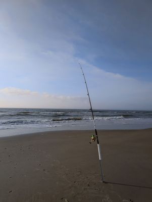 Huntington Beach State Park by null