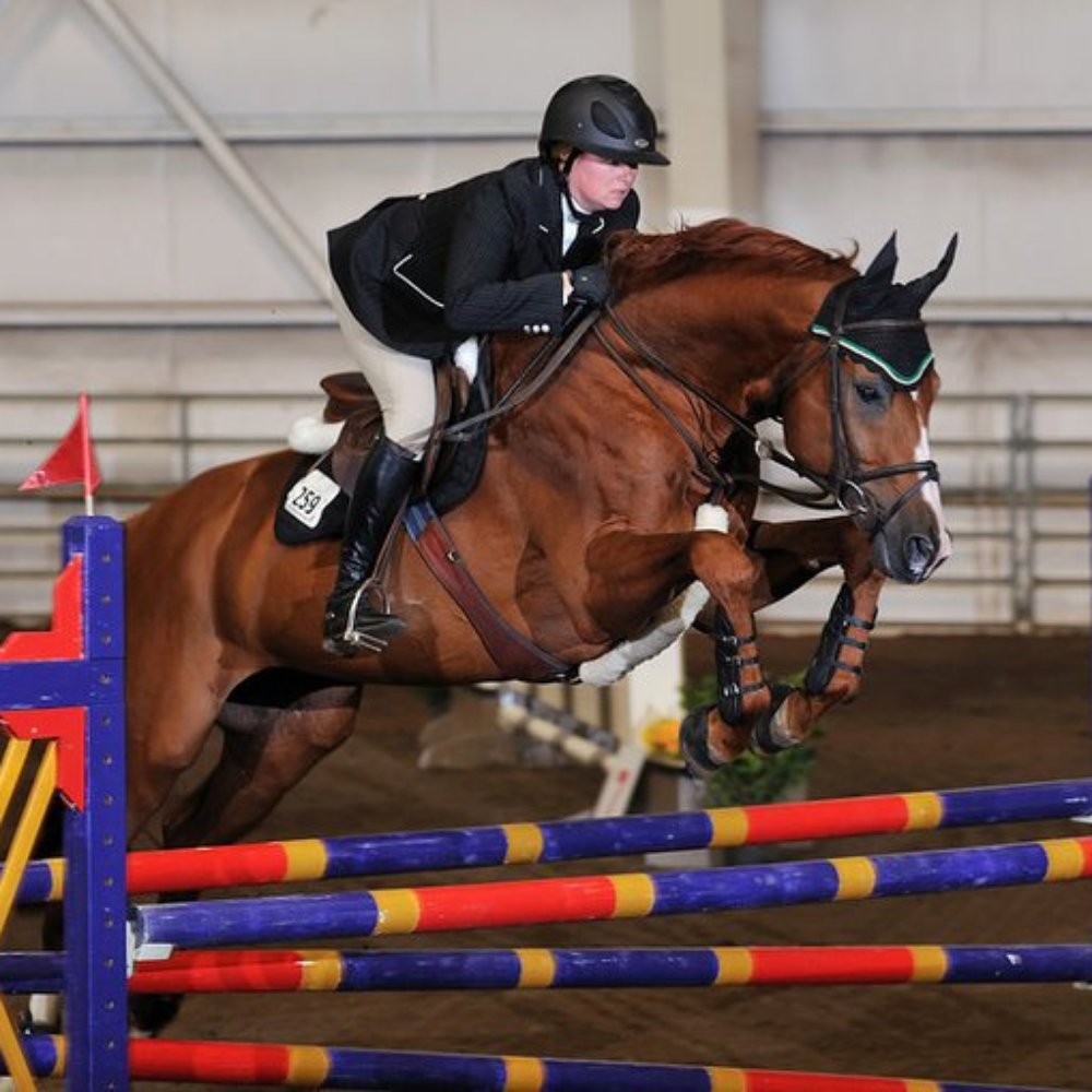 Creekside Show Stable - Royal Beach Farao - Horseback Riding Near Me - Oregon City, Oregon Creekside Show Stable - Royal Beach Farao - Horseback Riding Near Me - Oregon City, Oregon