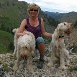 A & B Critter Care
