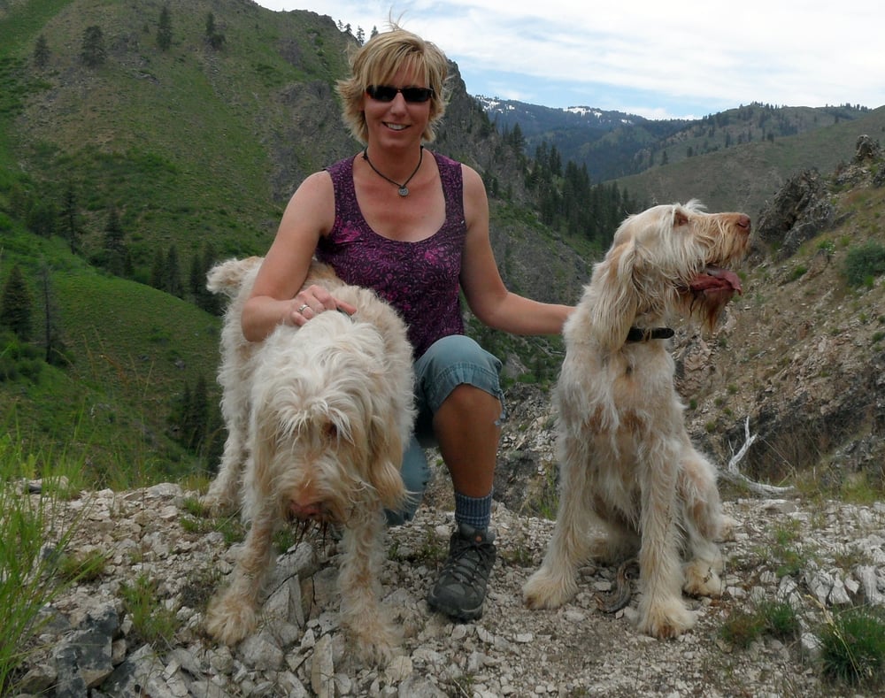 A & B Critter Care - pet boarding facility in Boise, ID