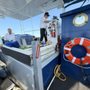 Shoreline Boat Tours