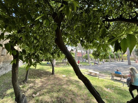 Giardino degli Aranci by null