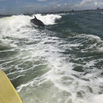 Dolphin Racer Speedboat - Tours Near Me - South Pasadena, Florida Dolphin Racer Speedboat - Tours Near Me - South Pasadena, Florida