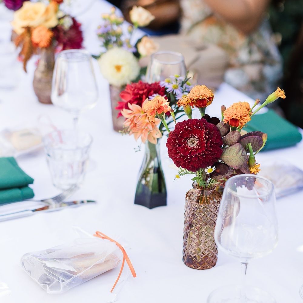 Freed-Hardeman Archives - The Christian Chronicle, image size:1000x1000