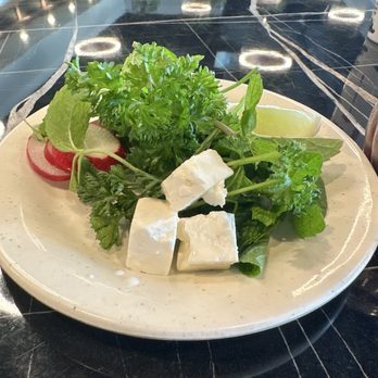 Bijan Persian Grill - Persian/Iranian Near Me - Houston, Texas Bijan Persian Grill - Persian/Iranian Near Me - Houston, Texas