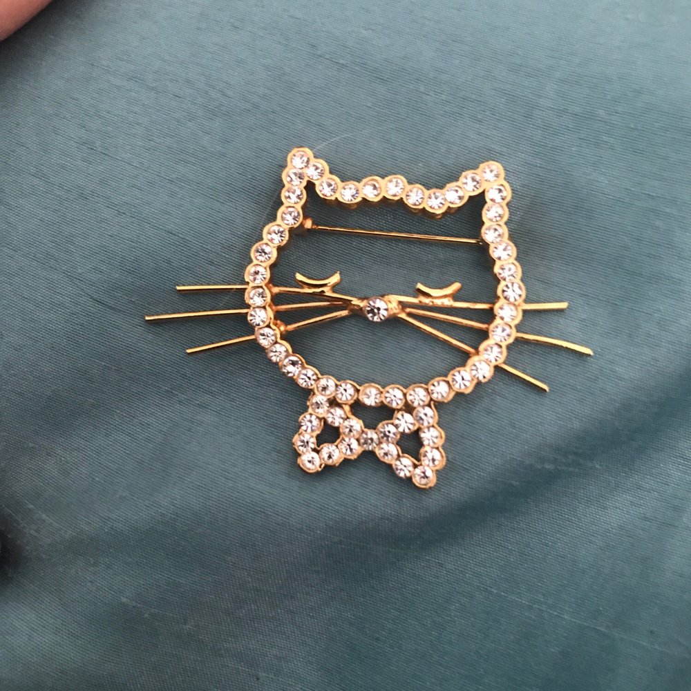My Cat pin that I got!