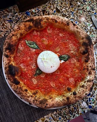 figidini by null