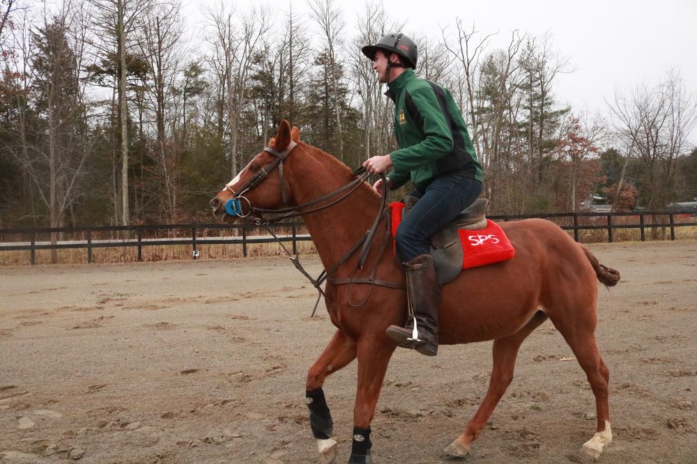 Saratoga Polo School Logo