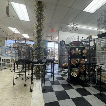 Rena's Pet Supplies - This store is immaculate by the way.   It always smells fresh and clean! - Pet Groomers Near Me - Longwood, Florida