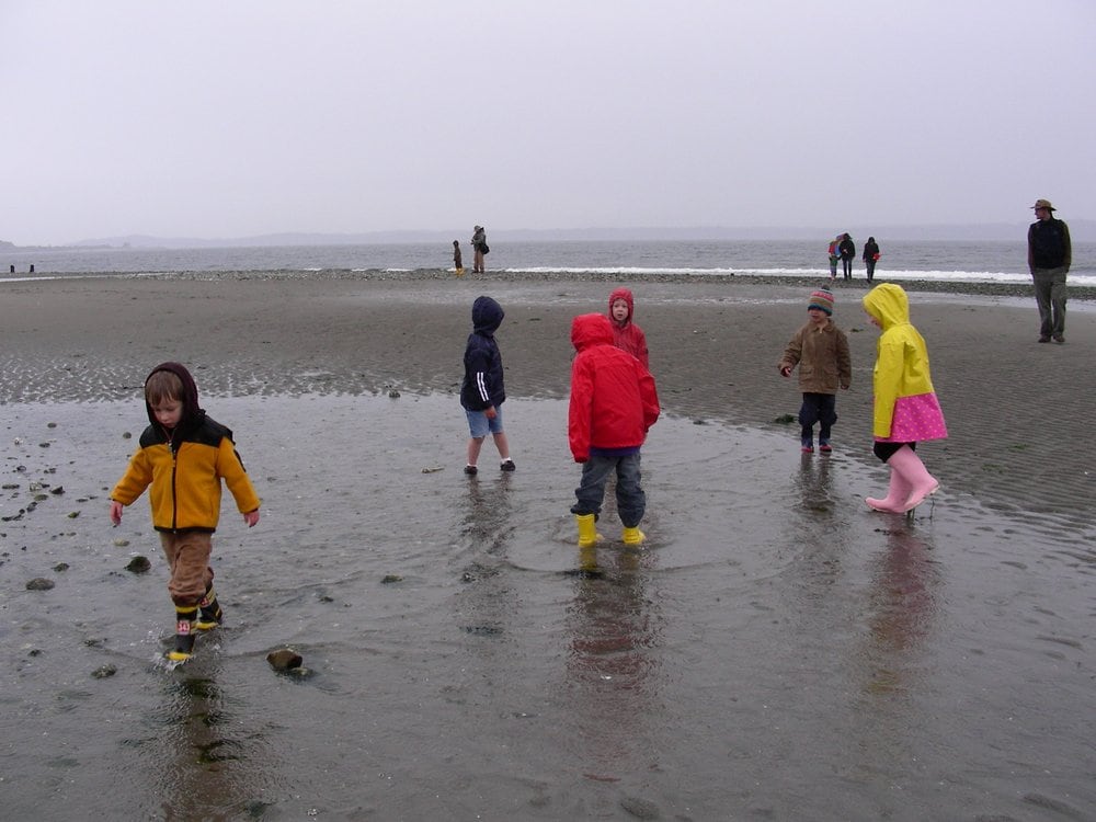 Discovery Montessori School - childcare center in Seattle, WA