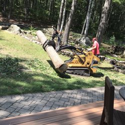 Todds Tree Service