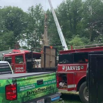 Jarvis Tree Service - Tree Services Near Me - Hartville, Ohio Jarvis Tree Service - Tree Services Near Me - Hartville, Ohio