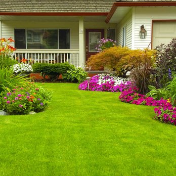 M & S Lawn and Landscape - Landscaping - Tree Services Near Me M & S Lawn and Landscape - Landscaping - Tree Services Near Me