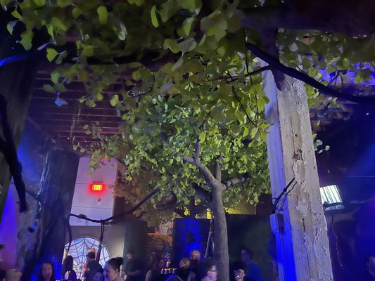Parq Nightclub by null