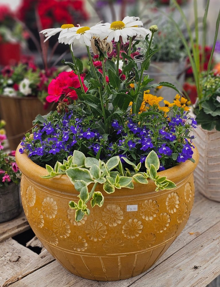 Fingerle Farms - beekeeping in Churubusco, IN