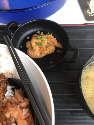 The Burning Oak by null