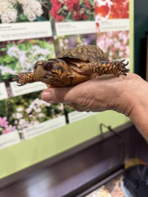 Clifton Gorge State Nature Preserve by null