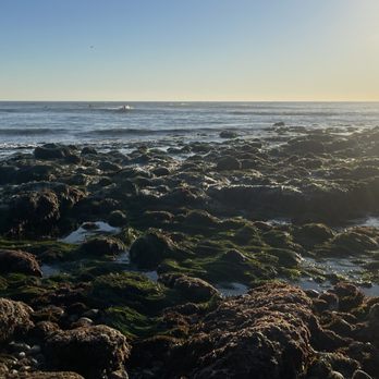 Let's Tidepool - Some of the great tidepools we visit - Tours Near Me