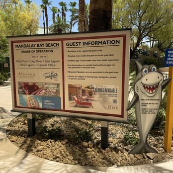 Mandalay Bay Beach - Swimming Pools Near Me - Las Vegas, Nevada
