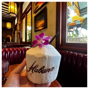 Habana - Agua De Coco - Cuban Near Me - Irvine, California Habana - Agua De Coco - Cuban Near Me - Irvine, California
