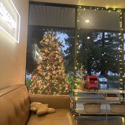 Christmas Tree Christmas Tree
