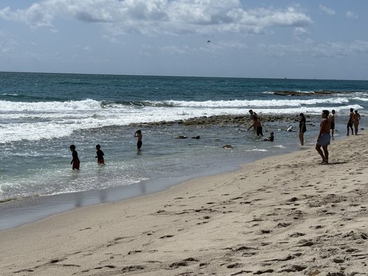 Ocean Reef Park by null