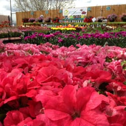 O Toole’s Garden Center