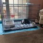 Photo of Kansas City Veterinary Care