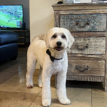 Lugari Pet Salon - Pet Groomers Near Me - Scottsdale, Arizona Lugari Pet Salon - Pet Groomers Near Me - Scottsdale, Arizona