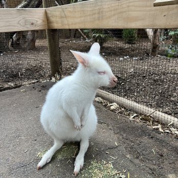 Featherdale Wildlife Park - Parks Near Me - Doonside, NSW Featherdale Wildlife Park - Parks Near Me - Doonside, NSW