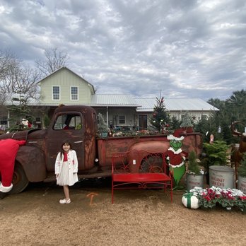 Enchanted Forest - Nurseries & Gardening Near Me - Richmond, Texas