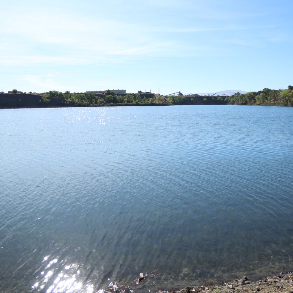Shadow Cliffs Regional Recreation Area - Parks Near Me - Pleasanton, California Shadow Cliffs Regional Recreation Area - Parks Near Me - Pleasanton, California