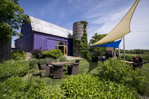 Closson Chase Vineyards by null