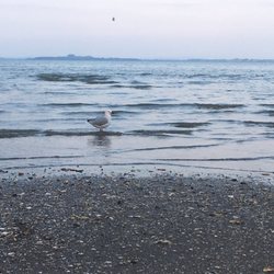 Sandys Parade Park