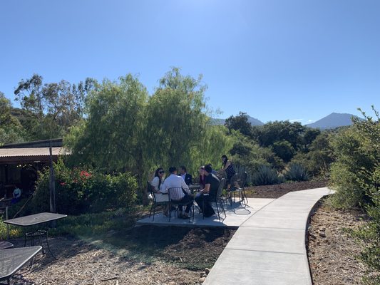 Mahogany Mountain Vineyard and Winery by null